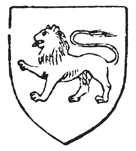 Passant Lion Già Nel Xii Secolo Disegno Linee Vintage Incisione — Vettoriale Stock
