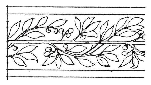 Laurel Border Undulate Band Est Design Ondulé Fait Feuilles Laurier — Image vectorielle