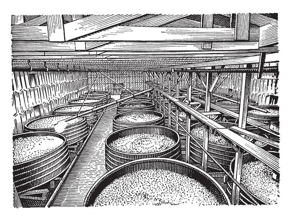This illustration represents Wine Vats where vatis a wooden tank, vintage line drawing or engraving illustration.