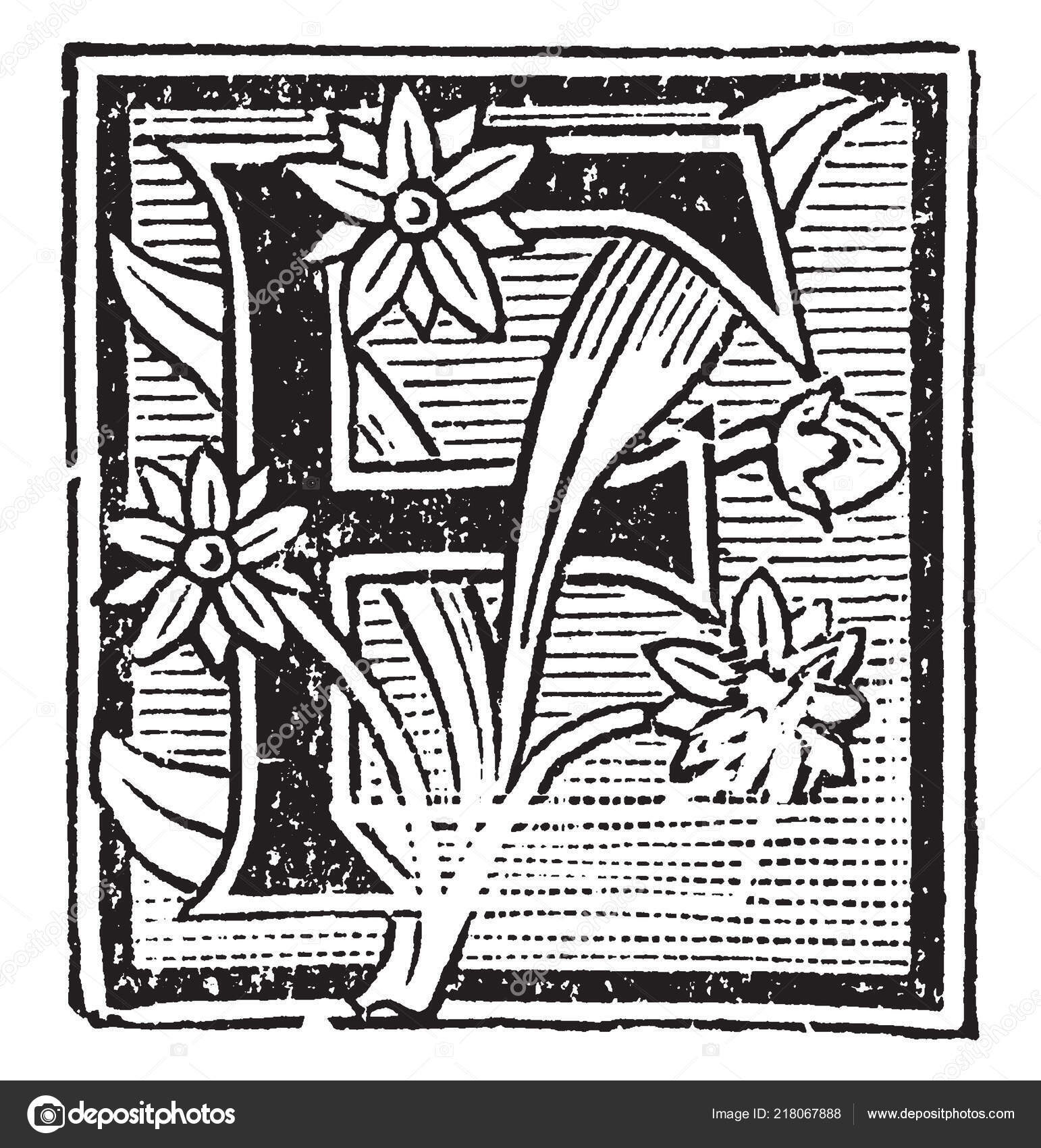 Decorative Capital Letter Flowers Lines Vintage Line Drawing Engraving