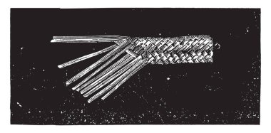 Örgü İtalya, Tuscan pedal, ipuçları 11, Amerika, vintage oyulmuş illüstrasyon. Endüstriyel ansiklopedi E.-O. Lami - 1875