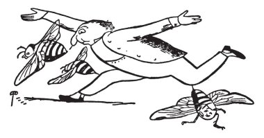 Bir adam çalıştıran, burnunu ve onun diz, vintage çizgi çizme veya oyma illüstrasyon çevresindeki üç arılar soktu bu sahne Edward Lear'ın tekerlemeler, gösterir