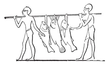 Balık taşıyıcılar, vintage illüstrasyon kazınmış.