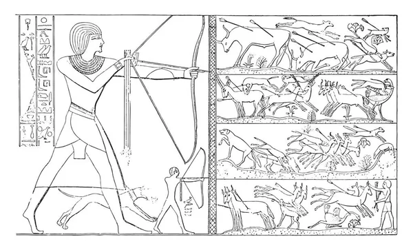 つのファラオ ビンテージの刻まれた図によって狩り — ストックベクタ