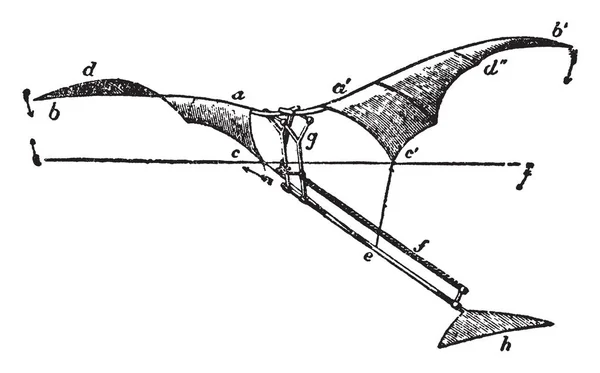 オーギュスタンピショ人工飛ぶ鳥は翼が乳酸を振動 ビンテージの線描画や彫刻イラストに加えられたときに陰極線 — ストックベクタ