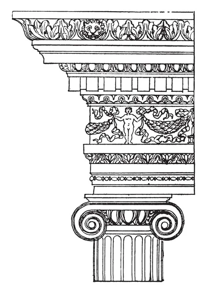 离子顺序 古典建筑的经典秩序 命令是多立克和科林斯 基于罗马实践 财神年礼 复古线条画或雕刻插图 — 图库矢量图片
