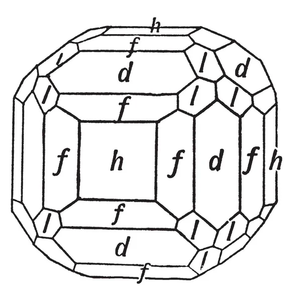 Dieses Diagramm Repräsentiert Amalgam Vintage Linienzeichnung Oder Gravierillustration — Stockvektor