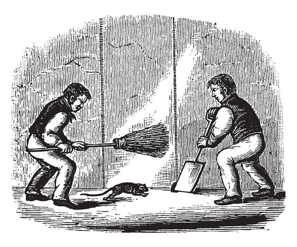 两个人用铲子和扫帚抓老鼠 复古线画或雕刻插图 — 图库矢量图片