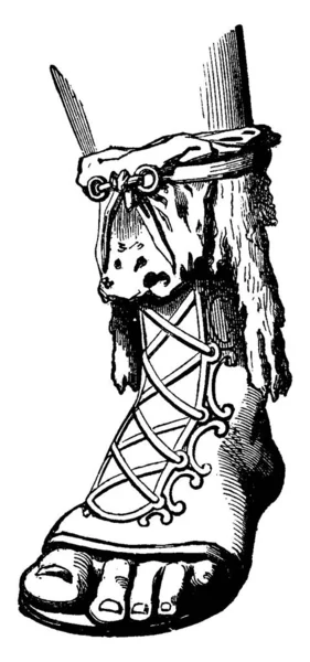 Campagus 老式雕刻插图 工业百科全书 1875 — 图库矢量图片