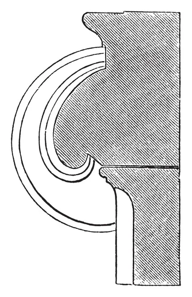 Sezione Voluto Capitale Ionico Spirale Bobine Leggermente Incavato Disegno Linee — Vettoriale Stock