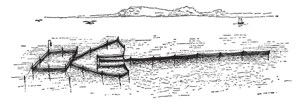 この図を表すポンド純 ビンテージの線描画や彫刻イラスト — ストックベクタ