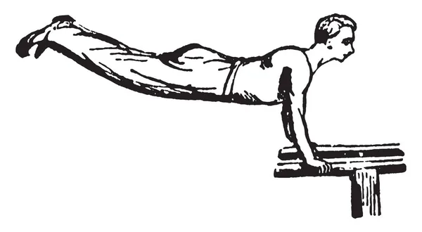 Гімнастка Висить Подвійний Бар Його Тіло Знаходиться Паралельних Позиції Подвійний — стоковий вектор