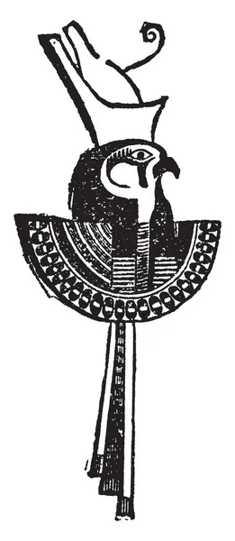 在这张图片中 一只鸟看起来像一只鹰 他把大王冠戴在头上 复古线画或雕刻插图 — 图库矢量图片