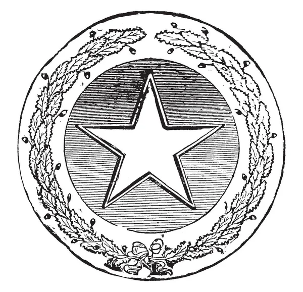 Official Seal State Texas 1889 Circle Shape Seal Has Star — Stock Vector