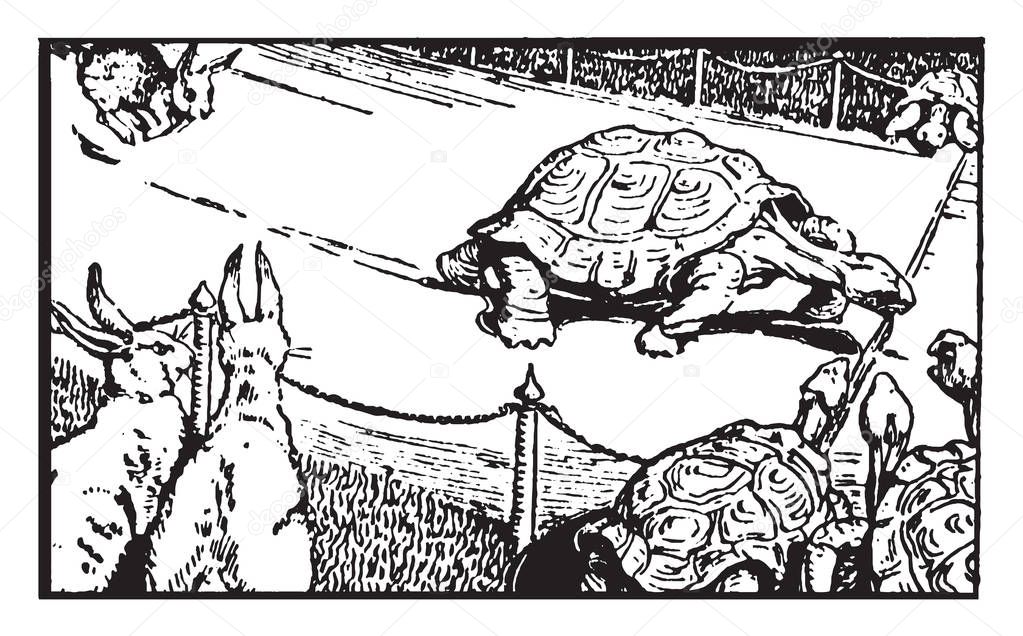 Aesop's Fables, The Hare and the Tortoise, this scene shows tortoise crosses the finish line ahead of the hare and wins the race, vintage line drawing or engraving illustration 