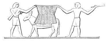 Eşek sürücüleri, vintage illüstrasyon kazınmış.