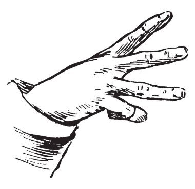 Ticaret işaret dili için 30 hisse, vintage çizgi çizme veya oyma illüstrasyon satın alacak.