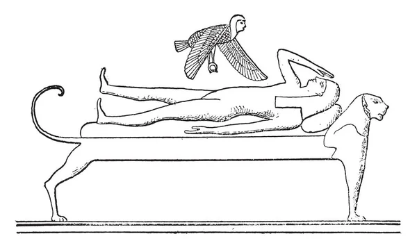 Anima Sorvola Defunto Illustrazione Incisa Epoca — Vettoriale Stock