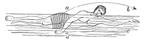 Plavání Tahy Nichž Člověk Plave Jedné Straně Vintage Kreslení Čar — Stockový vektor