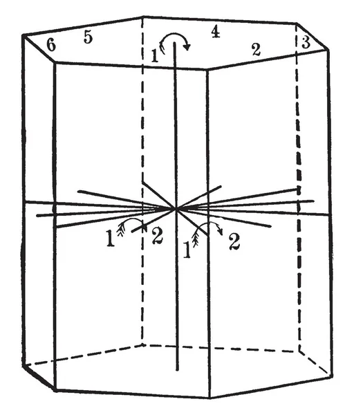 Diagramme Représente Symétrie Classe Normale Dessin Ligne Vintage Illustration Gravure — Image vectorielle