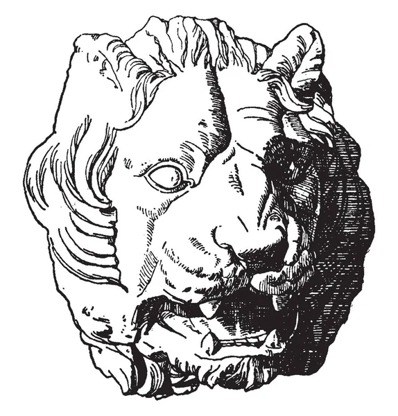 Antique Lion Head Muestra Vista Frontal Cabeza Antigua Dibujo Línea — Archivo Imágenes Vectoriales