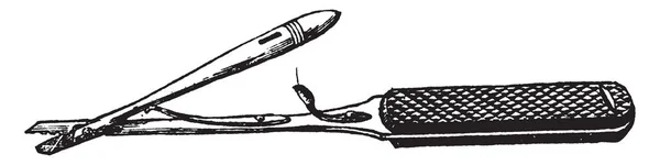 Ilustracja Przedstawia Acutenaculum Który Jest Używany Podczas Operacji Vintage Rysowania — Wektor stockowy