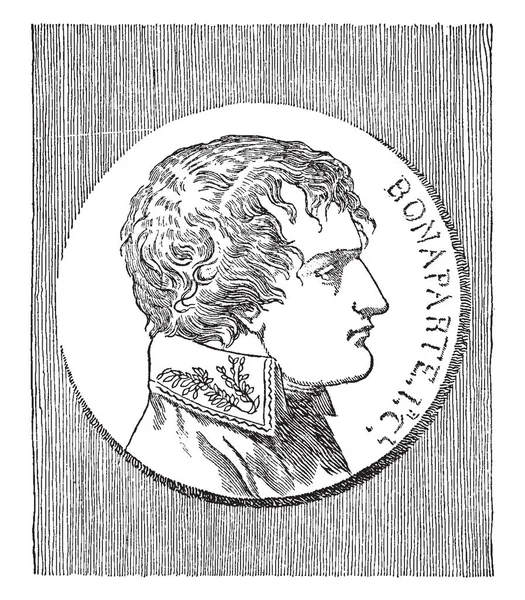 拿破仑 1769 1821 他是法国的军事将军 政治领袖和法国的第一个皇帝 复古线条画或雕刻插图 — 图库矢量图片