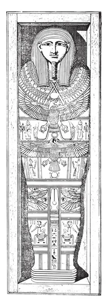 Mummie Cartonnage Vintage Gegraveerd Illustratie — Stockvector