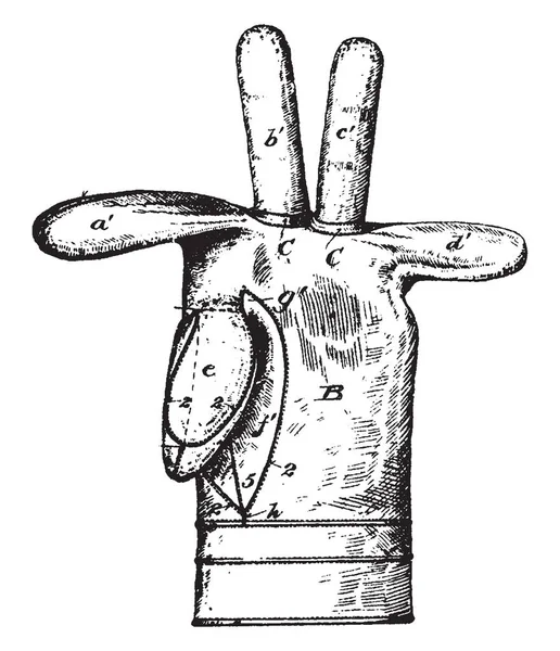 Кожаные Перчатки Одежда Покрывающая Руку Рисунок Винтажной Линии Гравировка — стоковый вектор