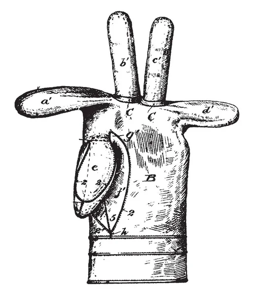 Guanti Pelle Indumento Che Copre Mano Linea Vintage Disegno Incisione — Vettoriale Stock