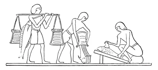 魚の準備 ヴィンテージ刻まれた図 — ストックベクタ