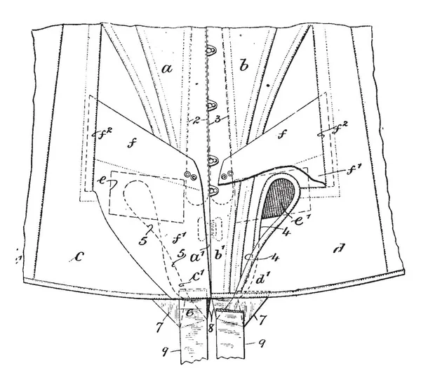 Oblečení Korzet Ekvivalentem Oděv Nosí Tvaru Trupu Vintage Kreslení Čar — Stockový vektor