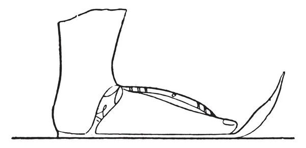 Sandal Vintage Ingraverad Illustration — Stock vektor