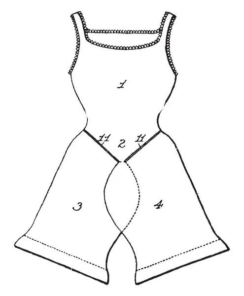 联邦西服是一种单件长内衣 复古线条画或雕刻插图 — 图库矢量图片