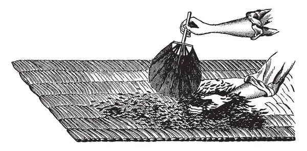 Diese Abbildung Stellt Verfahren Der Teeblätterkühlung Vintage Linienzeichnung Oder Gravierillustration — Stockvektor