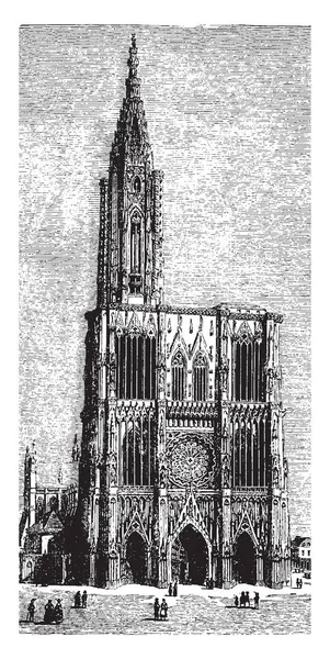 Kathedrale Von Straßburg Eine Römisch Katholische Kathedrale Straßburg Errichtet Vom — Stockvektor