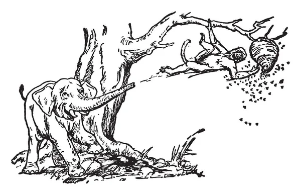Дитина Слона Сцена Показує Мавпу Гілці Дерева Яка Намагається Отримати — стоковий вектор