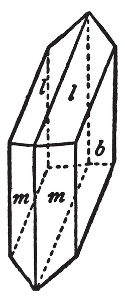 Dieses Diagramm Repräsentiert Einen Einfachen Kristall Aus Gips Vintage Linienzeichnung — Stockvektor
