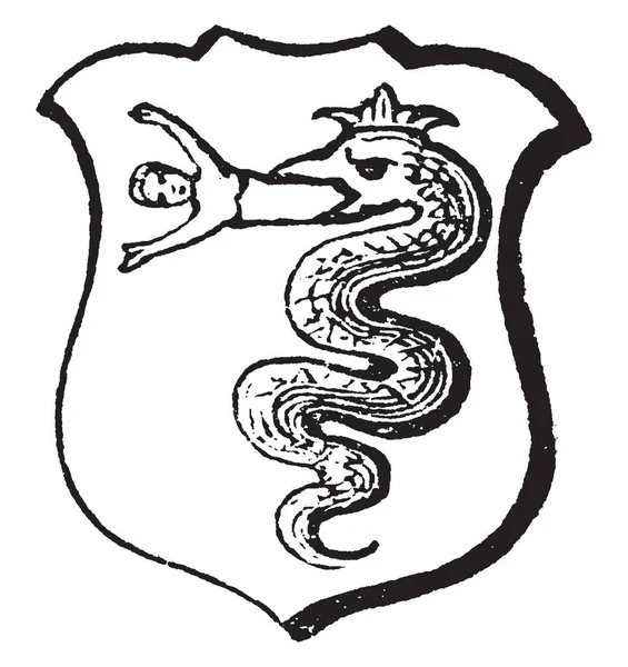 Serpent Vorant Devouring Another Creature Vintage Line Drawing Engraving Illustration — Stock Vector