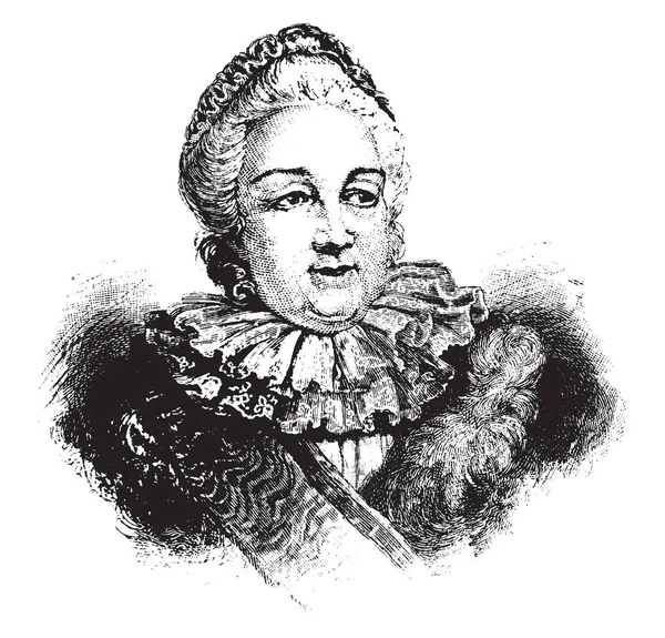 エカチェリーナ 1729 1796 彼女は 1762 1796 年までロシアの女帝でと国の最長与党女性リーダー ビンテージの線の描画やイラストを彫刻 — ストックベクタ