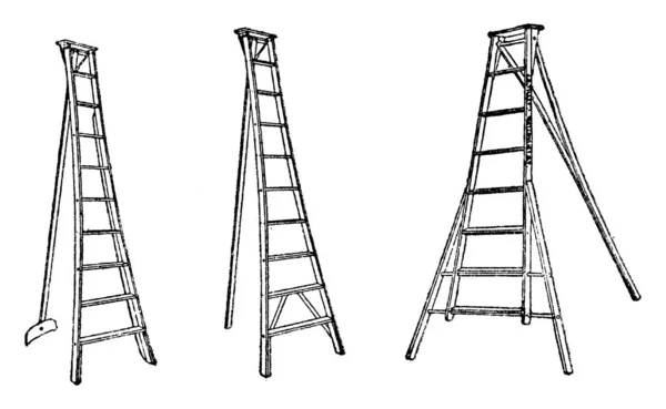 Questa Illustrazione Rappresenta Step Ladder Che Viene Utilizzato Raccolta Frutti — Vettoriale Stock