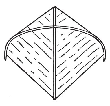 Kuyruksuz java uçurtma uçurtma Bayonne Eddy, vintage çizgi çizme veya oyma illüstrasyon tarafından kullanılan gibi görünüyor.