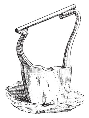 Müzik aletinin Leiden, vintage illüstrasyon kazınmış. Antik antika ailesinin 1881 özel hayatı