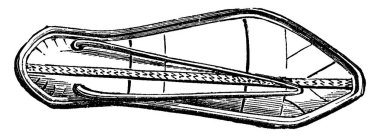 Mısır Peep, deri ve Fas, vintage illüstrasyon kazınmış. Endüstriyel ansiklopedi E.-O. Lami - 1875.