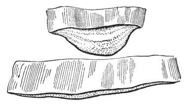 Bu kesme izin parçasıdır, yapısı görüntülenir, orada birçok katmanı, vintage çizgi çizme veya oyma illüstrasyon.