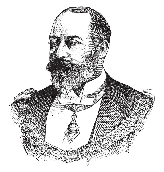 Edward Vii 1841 1910 Birleşik Krallık Ngiliz Sömürgeleri Kral Oldu — Stok Vektör