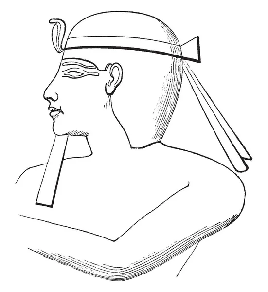希沙克是最有名的反对犹大王国的战役 它是为耶罗波安在晚年提供避难所 复古线条绘画或雕刻插图 — 图库矢量图片