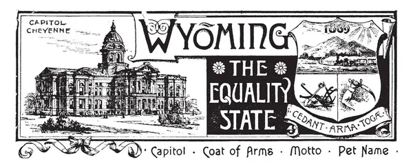 Állam Zászlaja Wyoming Egyenlőség Állam Banner Van Állami Ház Bal — Stock Vector
