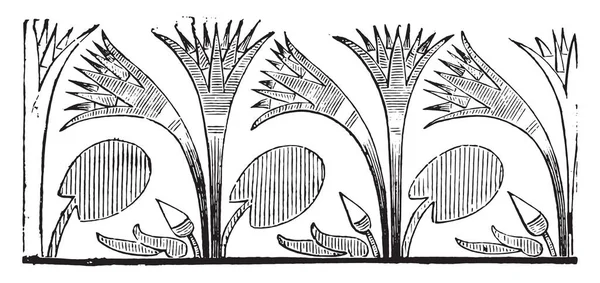 纸莎草 老式雕刻插图 工业百科全书 1875 — 图库矢量图片