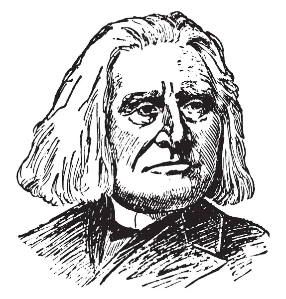 Franz Liszt 1811 1886 Era Virtuoso Pianistico Compositore Ungherese Illustrazione — Vettoriale Stock